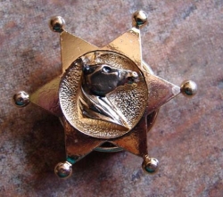 detail_2708_BC-9077-G_Sheriff_Badge.jpg