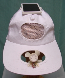 Solar Hat