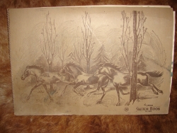 detail_3458_Artist_sketch_book_1.JPG