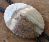 ENGRAVED BOLO TIE