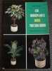 House Plant Book