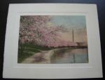 Washington Monument Print