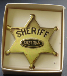 Star Badge