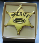 Star Badge