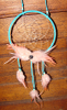 Dream Catcher