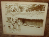 Cabinet Photos