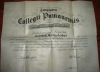 Diploma - Bachelor of Arts
