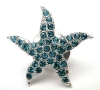 SCS Starfish pin