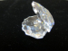 detail_3922_mini_clam_3.jpg