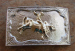 detail_2092_CLR-BU-SILVER_BULL_RIDER.jpg
