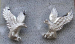 detail_2131_PP-6992-S-A.jpg