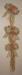 detail_2543_wall_hanging_-_peach.jpg