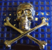 detail_2665_HT-Z52_Skull__Cross_bones.jpg