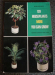 detail_2913_Houseplant_book_sm.jpg