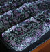 detail_3326_Black_-_Teal_-_Purple_Scarf.jpg