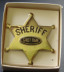 Star Badge