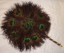 Victorian Peacock Fan